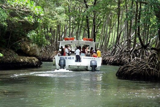 Haitises Park From Punta Cana Come Travel 1