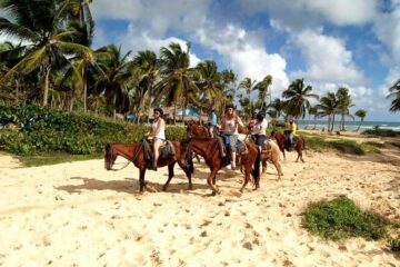Horseback Riding From Punta Cana Come Travel 2