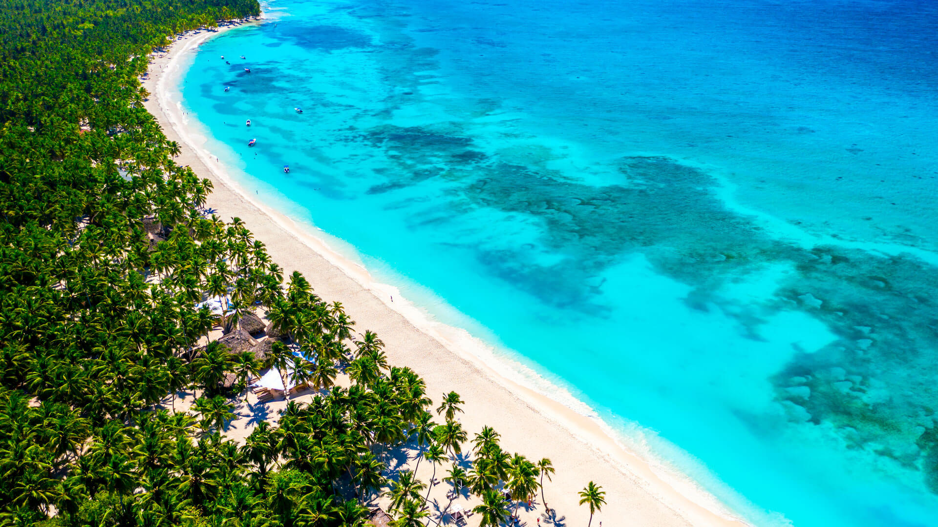 Punta Cana: Saona Island a different exclusive Day Trip with Open Bar