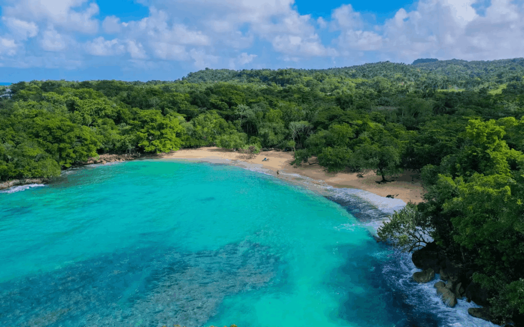 Samana Discovery Tour from Punta Cana