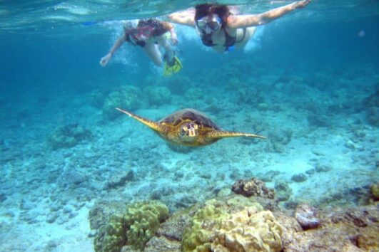 Come Travel Punta Cana Catalina Island Snorkeling Tour With Lunch 4